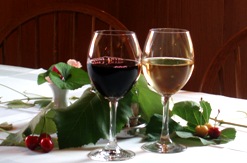 Kabarnet in Sivi pinot