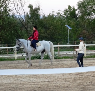 Horse-riding-school