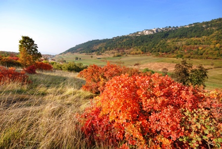 Slovenska-Istra